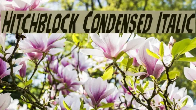 Hitchblock Condensed Italic Example 3