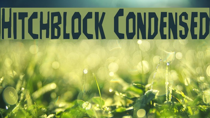 Hitchblock Condensed Example 3