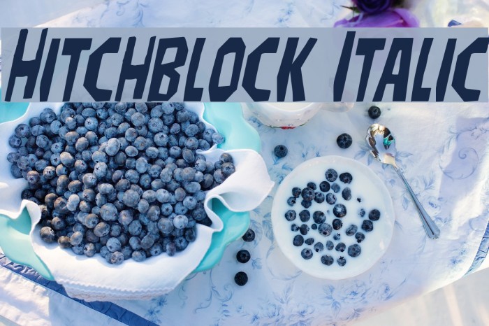 Hitchblock Italic Example 2