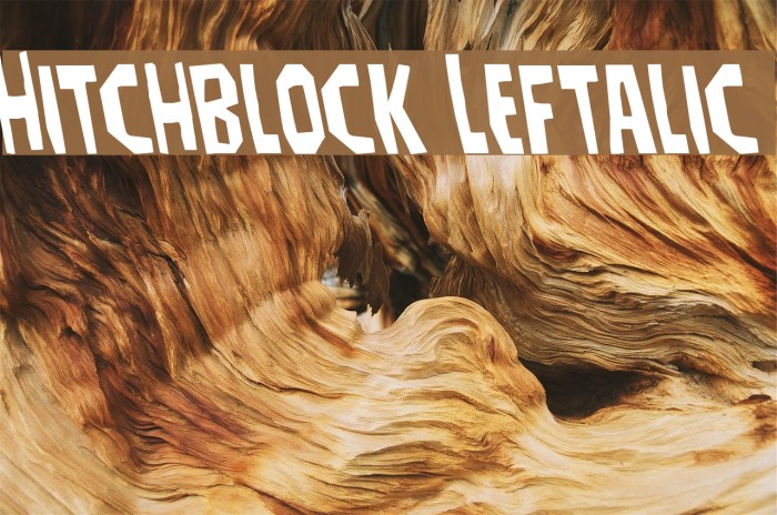 Hitchblock Leftalic Font examples
