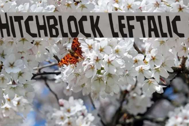 Hitchblock Leftalic Example 2