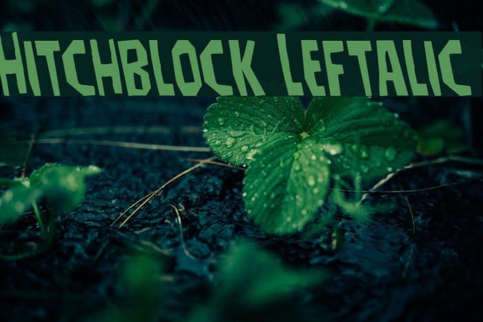 Hitchblock Leftalic Font examples