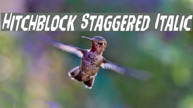 Hitchblock Staggered Italic Example 3