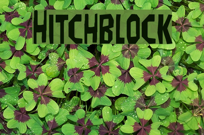 Hitchblock Example 3