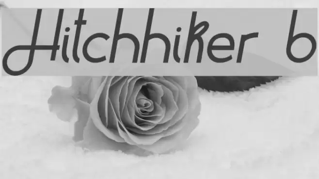 Hitchhiker b Font examples