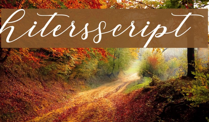 HitersScript Schriftart examples