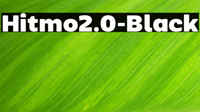 Hitmo2.0-Black Example 3