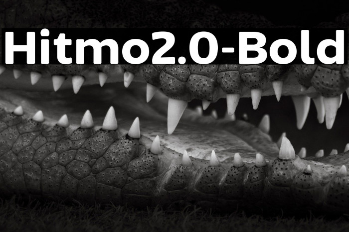 Hitmo2.0-Bold Example 1