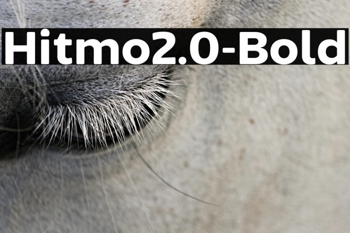 Hitmo2.0-Bold Example 2