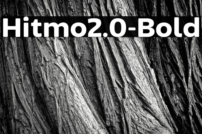 Hitmo2.0-Bold Example 3