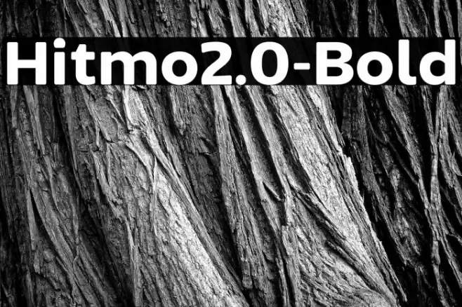 Hitmo2.0-Bold Font examples