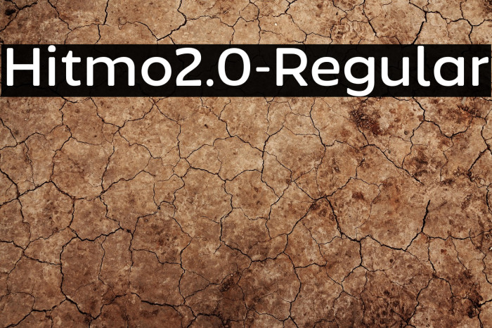 Hitmo2.0-Regular Example 1