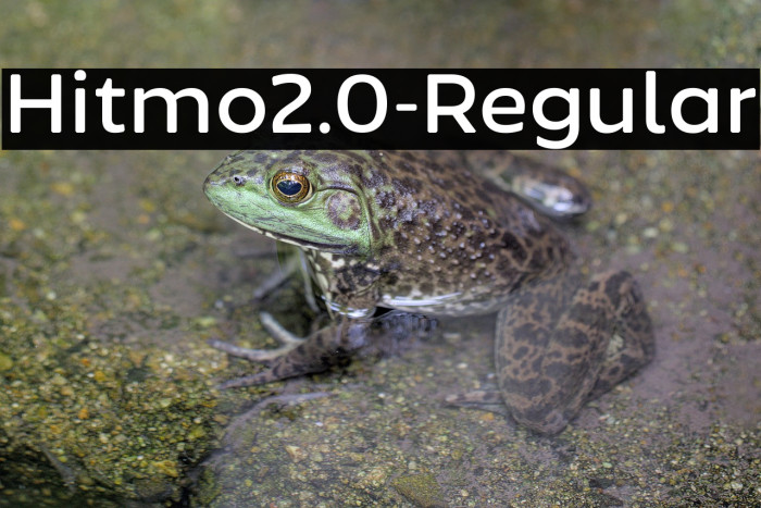 Hitmo2.0-Regular Example 2