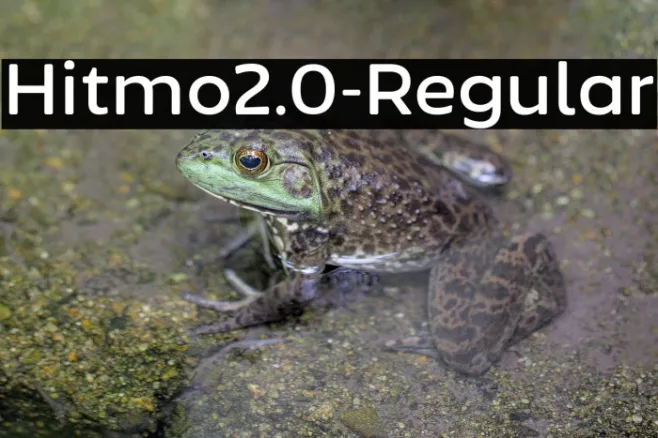 Hitmo2.0-Regular Example 2