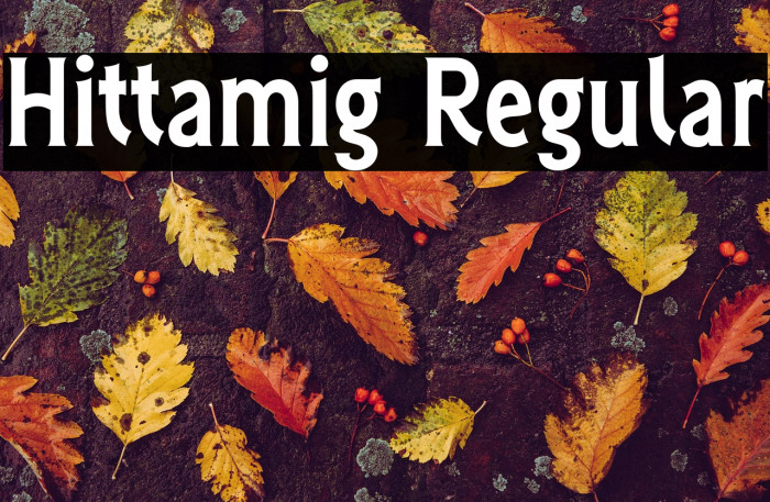 Hittamig Regular Example 1