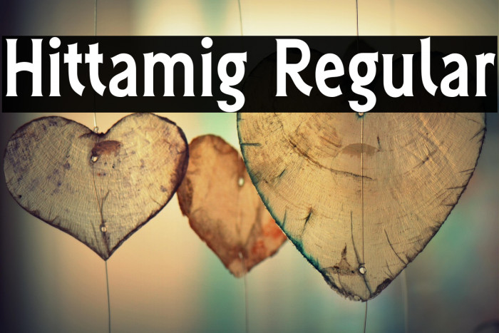 Hittamig Regular Example 2