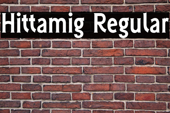 Hittamig Regular Example 3