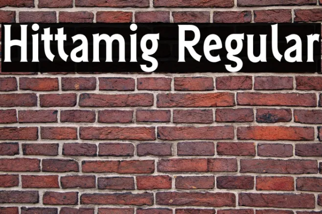 Hittamig Regular Example 3