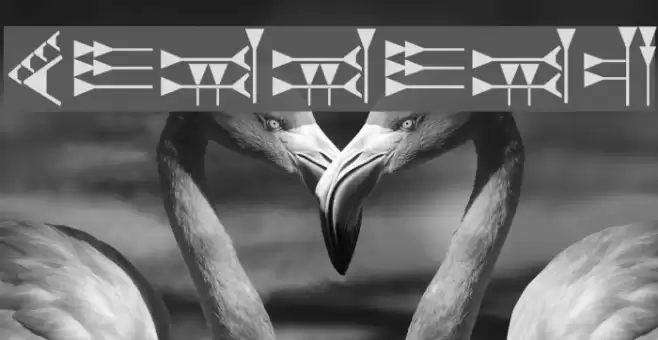 Hittite Font examples