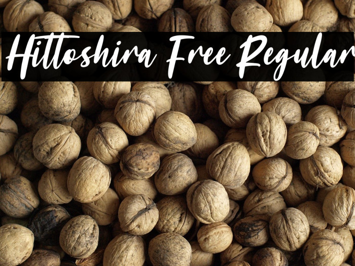 Hittoshira Free Regular Example 2