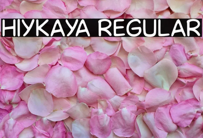 Hiykaya Regular Example 1