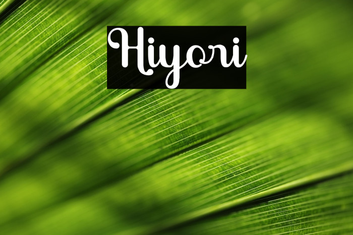 Hiyori Example 2