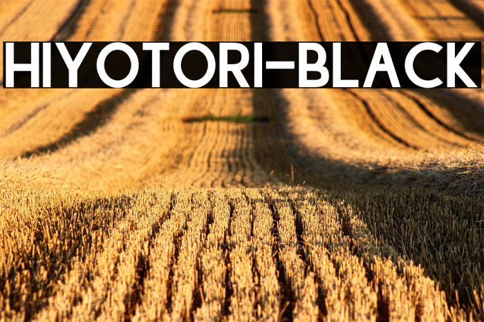 Hiyotori-Black Example 3