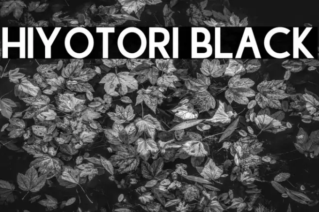 Hiyotori Black Font examples