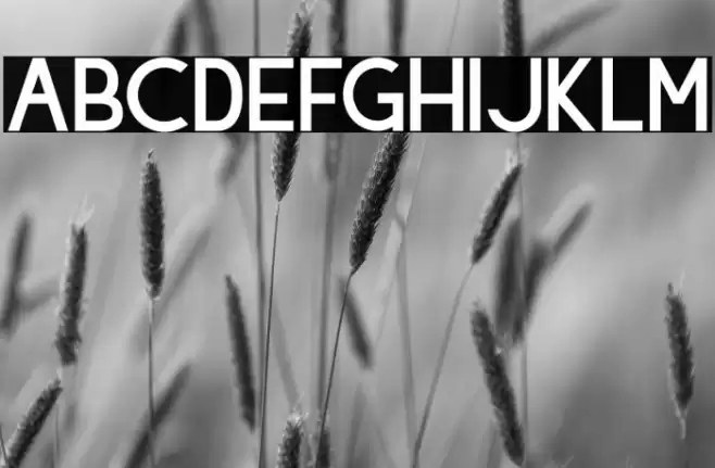 Hiyotori-Bold Font examples