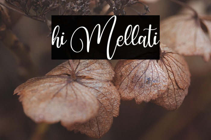 hi Mellati Example 3