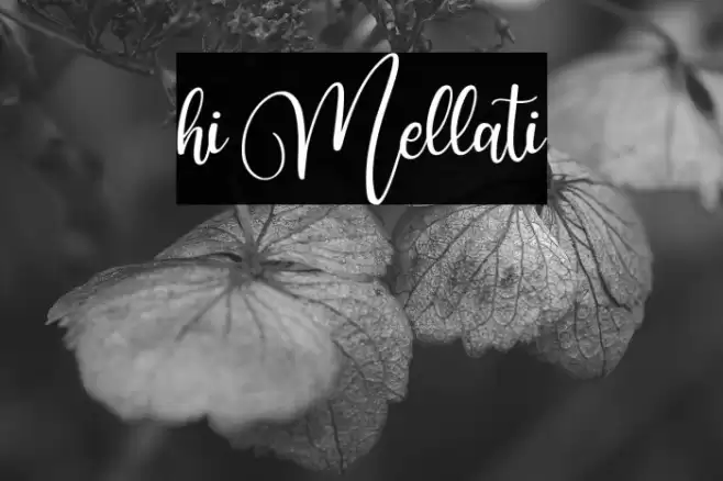 hi Mellati Font examples