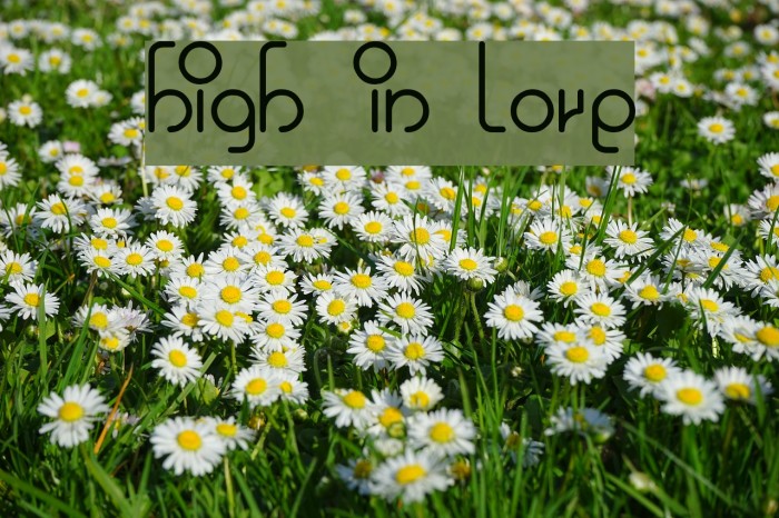 high in love Example 1