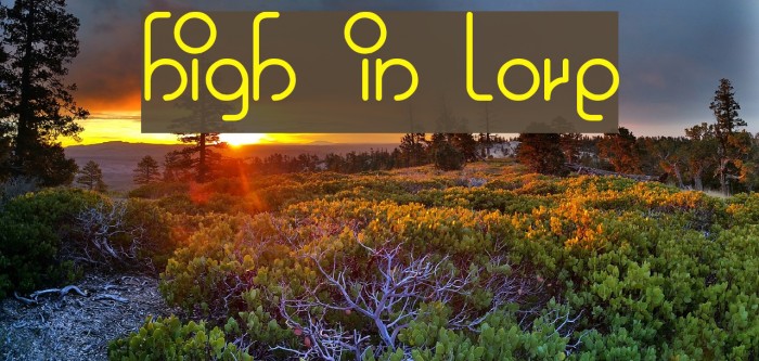 high in love Example 2