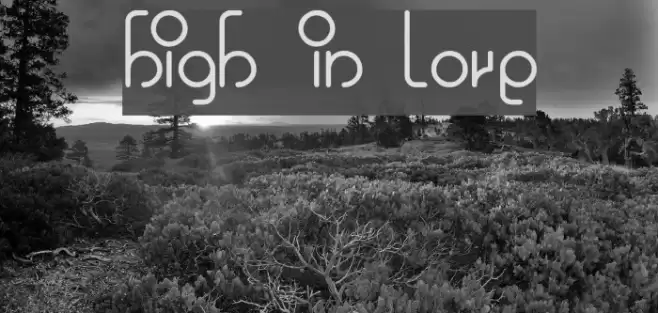 high in love Font examples