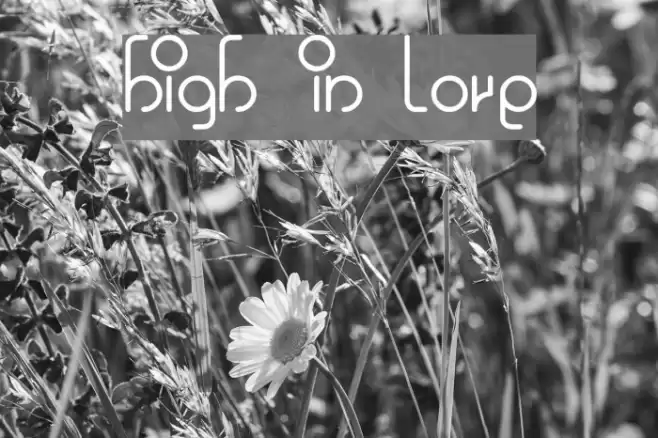 high in love Font examples