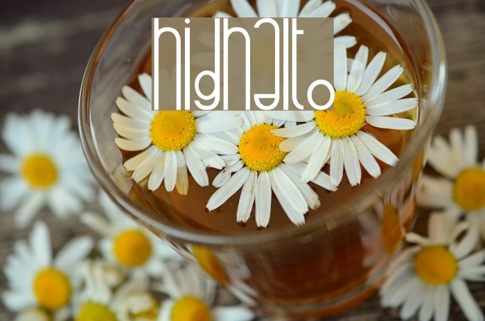 highalto Font examples