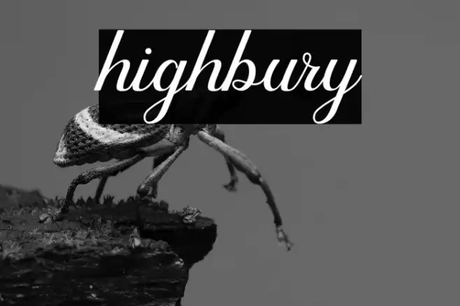 highbury Font examples