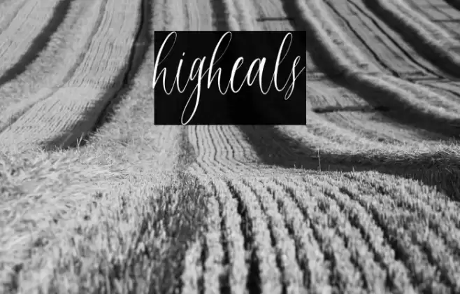 higheals Caratteri examples