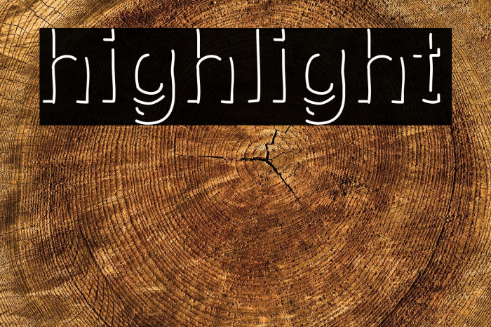 highlight Polices examples