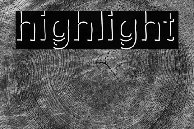 highlight Polices examples