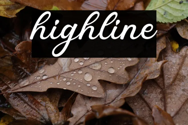 highline Example 3