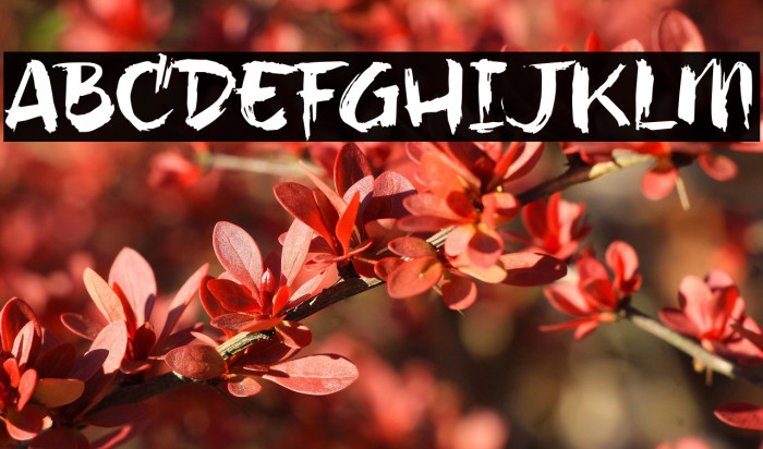 hillBelly_TRIAL Example 3