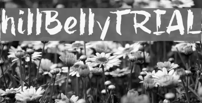 hillBelly_TRIAL Font examples