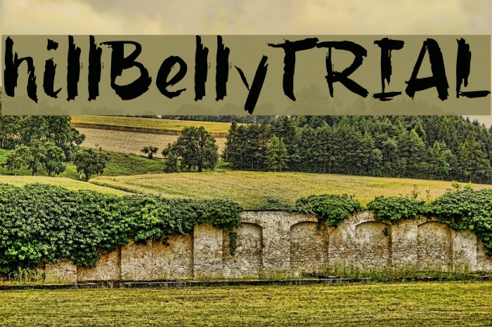 hillBelly_TRIAL Fuentes examples