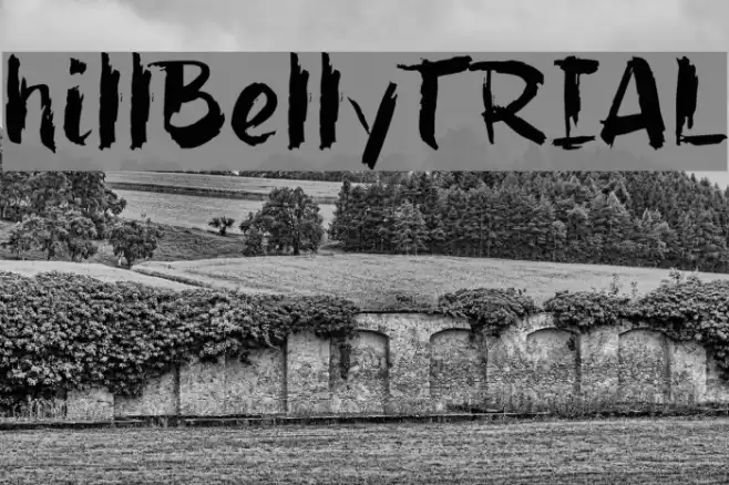 hillBelly_TRIAL Font examples
