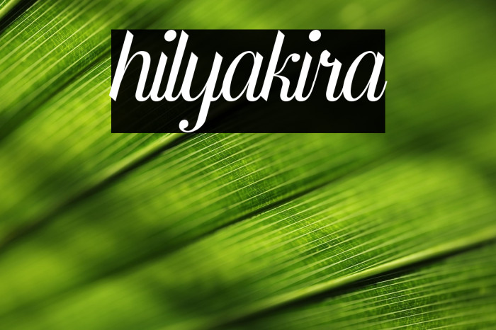 hilyakira Example 1