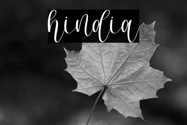 hindia Font examples
