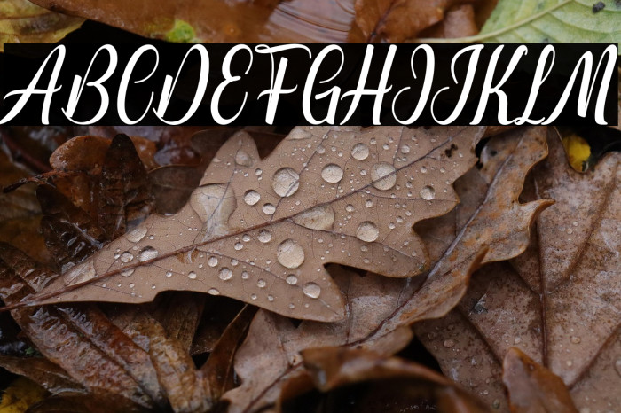 hinonagata-Regular Example 1