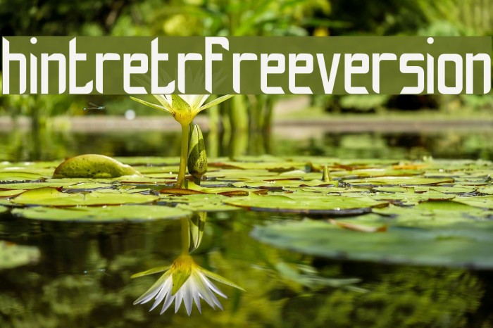 hint-retrò_free-version 字体 examples