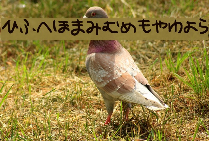 hiragana Шрифта examples